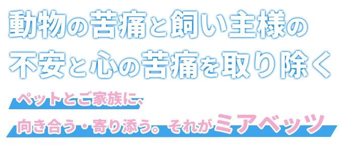 ペットとご家族に寄り添う。それがミアベッツ